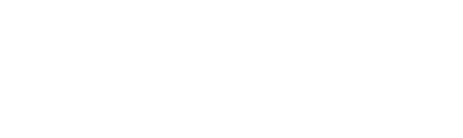 Boehringer Ingelheim